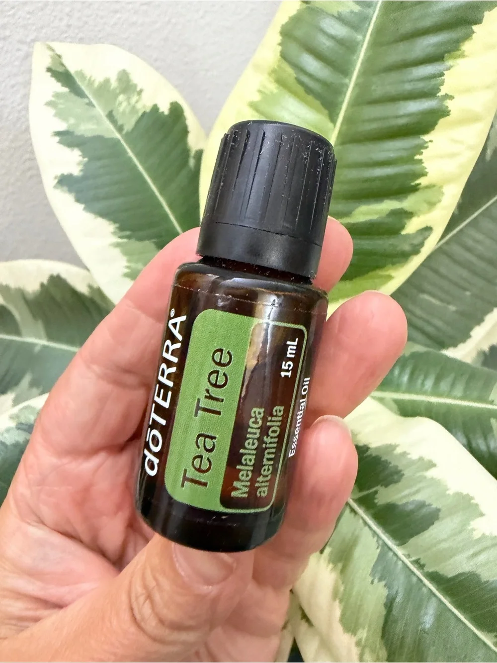 New Doterra Tea Tree Essential Oil 15ml - Unopened